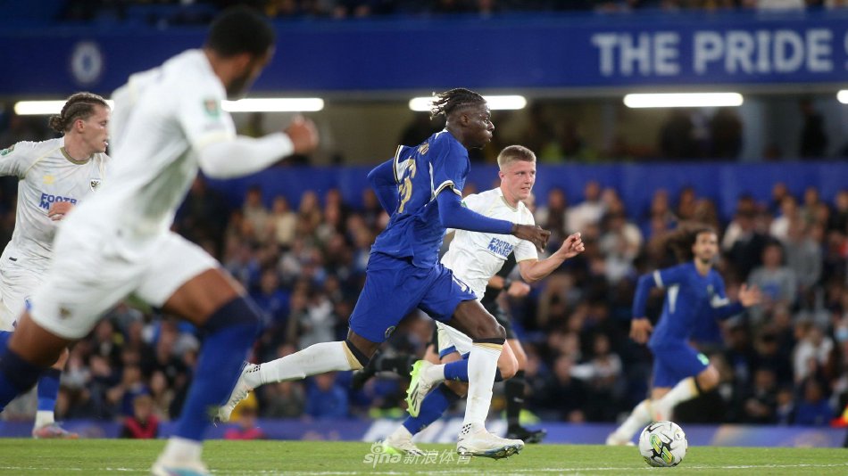 下屏障型中 下屏障型中